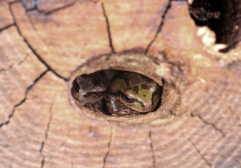 250928_冬眠のはじまりガラスが先ず曇る