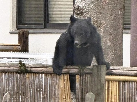 251212_熊撃ちも湯治の客も夜の炉端