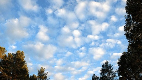 260915_梯立の倉椅山に立てる白雲