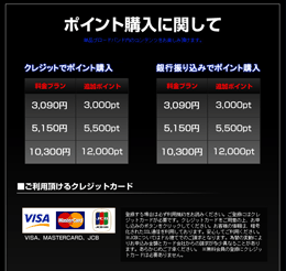 画像：HAPPY FISH ポイント料金表