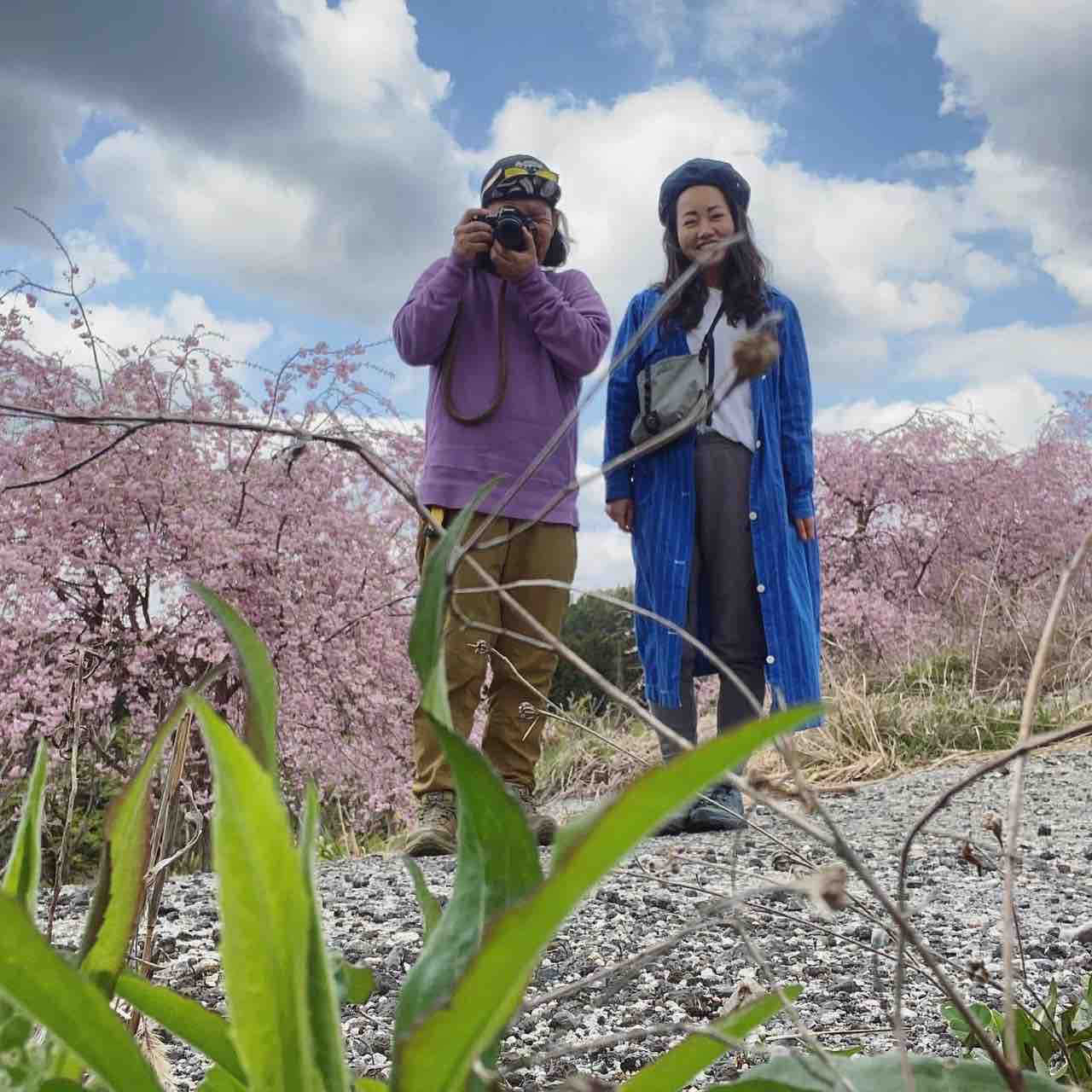 なう 桜の庭で春キャンプ サイがゆく オトナの外遊び 見た目重視で夫婦キャンプと山登り