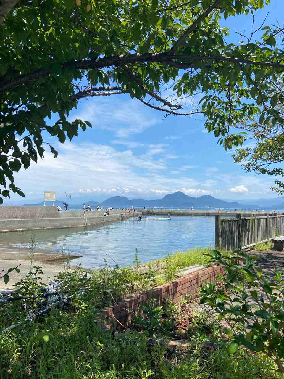 足 保 港