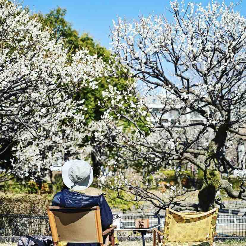 我が家流 チェアリング の嗜み サイがゆく オトナの外遊び 見た目重視で夫婦キャンプと山登り 我が家流 チェアリング の嗜み サイがゆく オトナの外遊び 見た目重視で夫婦キャンプと山登り