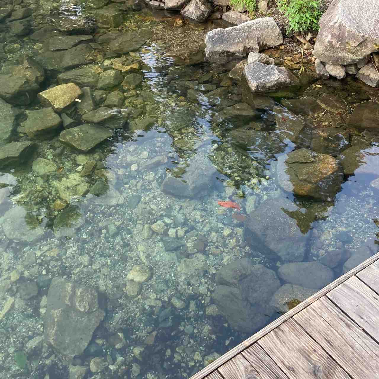 21 08 27 29 カヌーキャンプにもってこい 青木荘キャンプ場 徹底解剖 サイがゆく オトナの外遊び 見た目重視で夫婦キャンプと山登り 21 08 27 29 カヌーキャンプにもってこい 青木荘キャンプ場 徹底解剖 サイがゆく オトナの外遊び 見た目重視で夫婦キャンプと山登り