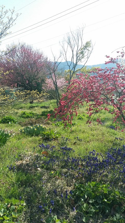 20160415_144731