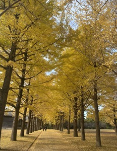 43FFE9C2-1FAA-49B6-9733-54D8EA25D8DD