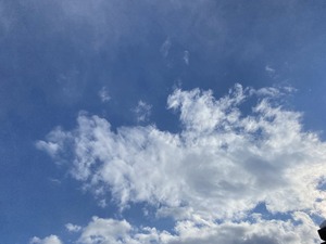 F56F59D6-91AA-454D-9ABF-4E71FA150342