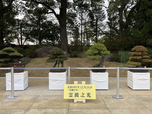 9E8E83A0-3188-43E1-B06D-1FC5416E97EF