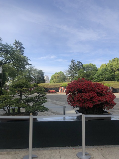 052798D6-87E0-4A58-9E4B-D5B8C81CA935