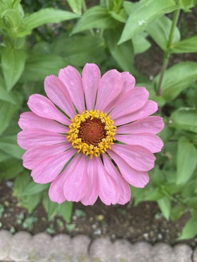 0B32D483-139C-4F0C-9A7D-21CFD5161C5C