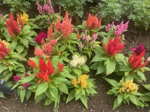 4C057E86-9CE9-4A93-82F9-A3B084032D86