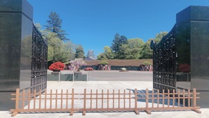 C8C46DD3-02E9-4E0C-AC47-DB71E7B09A18