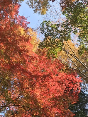 44B56573-7536-486B-B2AB-30B22C9164E7