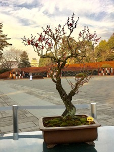 8930A6FA-B511-4A35-8308-C8AF6C649974