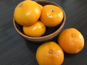 1A694D5A-E44E-40AD-9312-0411F9797C9F