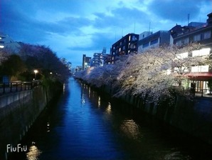 faceu_0_20200327181157694