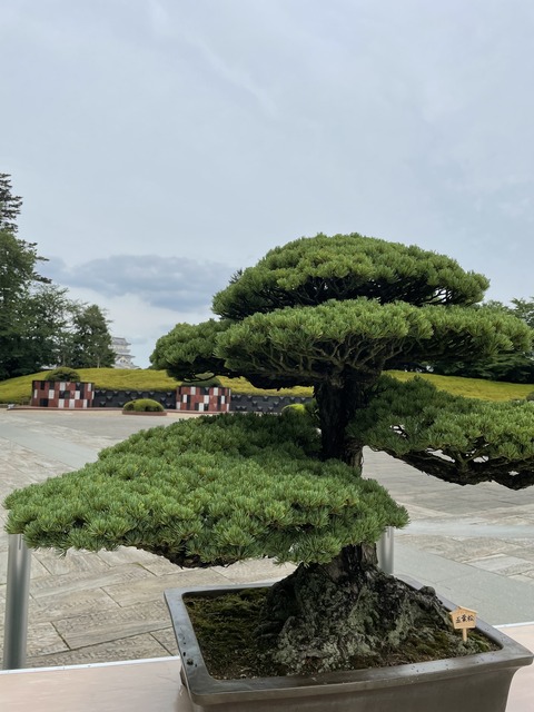 1DDF1213-CEED-499F-83FC-652932174D70