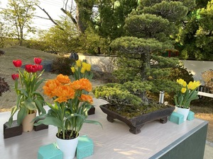 3AF748A4-C0DD-4C83-B1D1-735BD759C8ED