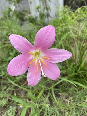 145E8520-FE1C-435F-B5D1-97677FD88763