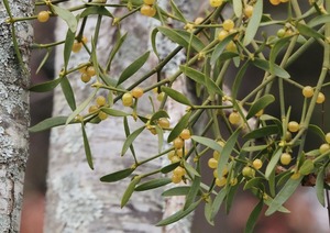 90570516-D853-4280-B36C-9A9AC1D84E17