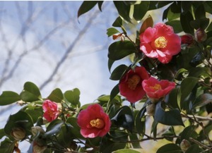 3F10CACA-C280-4A15-8373-2FAF13E551E2