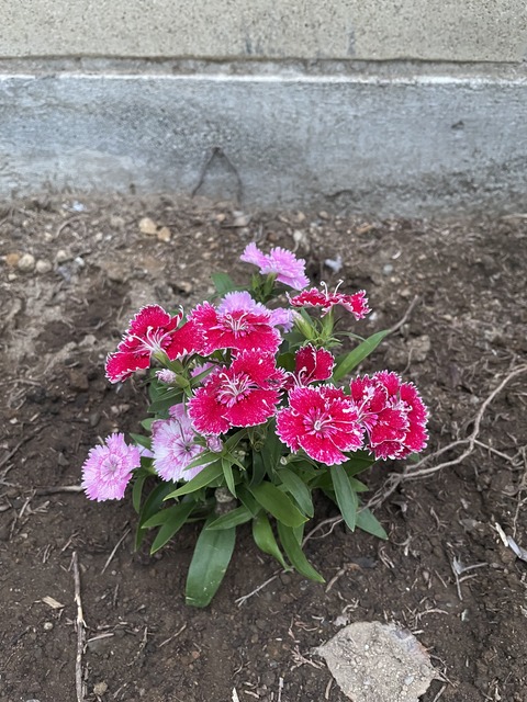 FE239869-F32D-4336-8400-22285D9ED60A