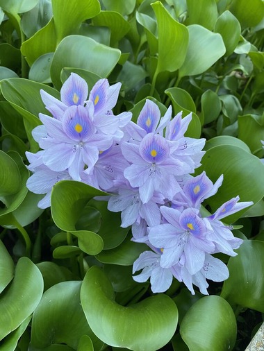 4A0D5521-ED87-450C-BF19-FC586BBF0163