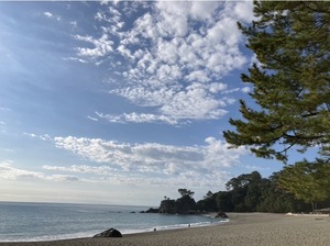 07AA1B4B-5DDA-409D-A7B8-F4E110956504