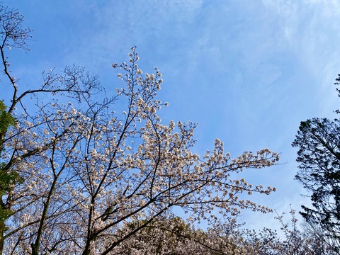 BDA03EAA-B7DA-43D9-95E0-82831E4F65B2