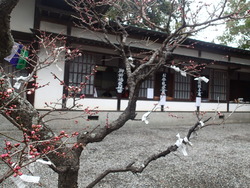 北斗寺星まつり7