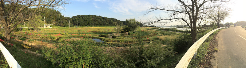 牛久沼公園パノラマ