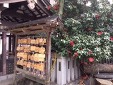 鳥越神社3