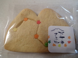 北斗寺星まつり10