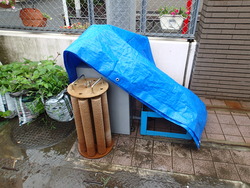 前装置撤去及び搬出4