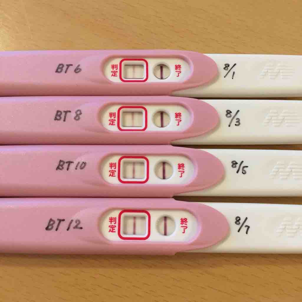 妊娠検査薬 経過 ポジネガ妊活記録