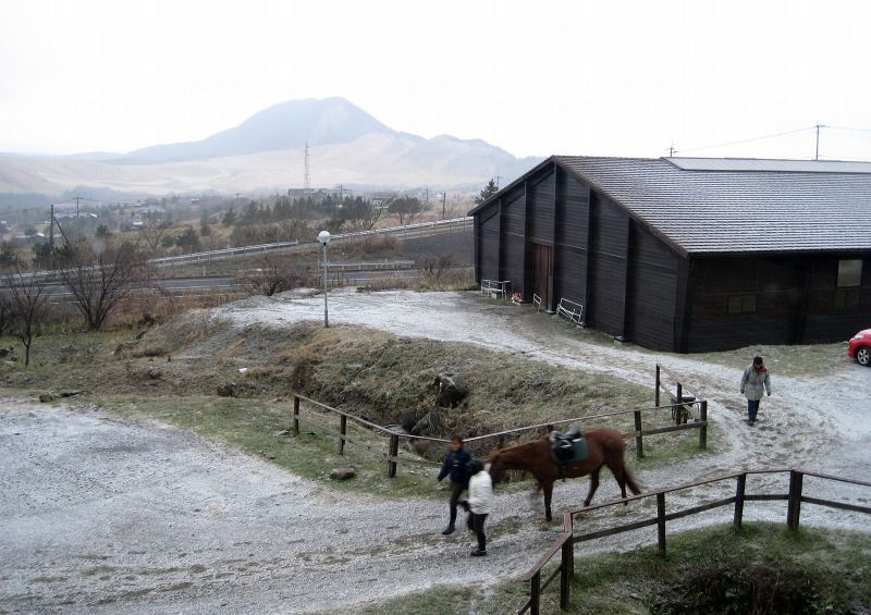 冬の湯布院乗馬クラブにて りりーの徒歩々 冬の湯布院乗馬クラブにて りりーの徒歩々