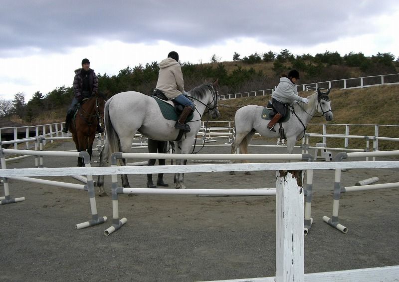冬の湯布院乗馬クラブにて りりーの徒歩々 冬の湯布院乗馬クラブにて りりーの徒歩々