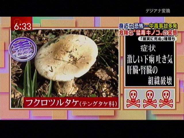 最恐の毒キノコを決めようぜ パルス速報