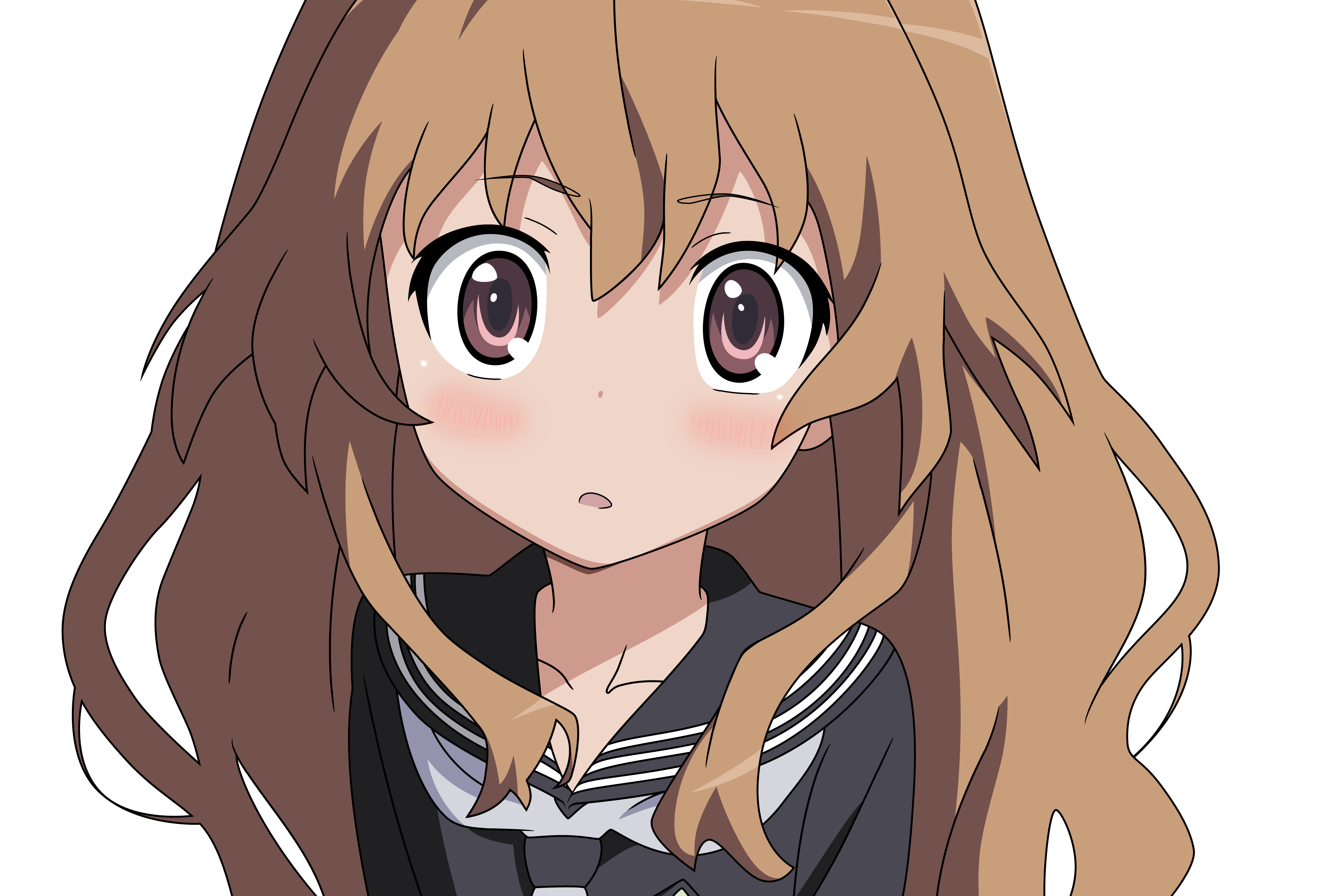 とらドラっていう神アニメ見たんだけど リアルタイムズ