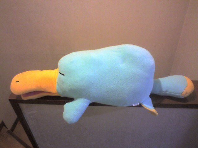 カモノハシのイコちゃん 寝そべり抱き枕♪ : りぼんちゃんの部屋