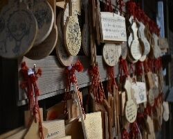 DSC_0332_4-250x200