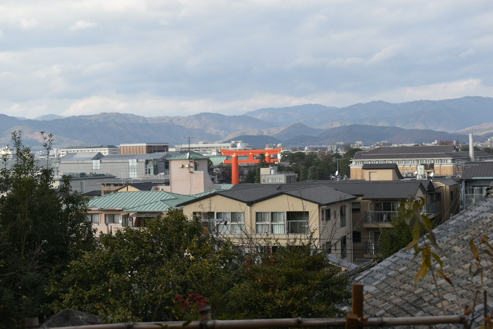 DSC_0328_4