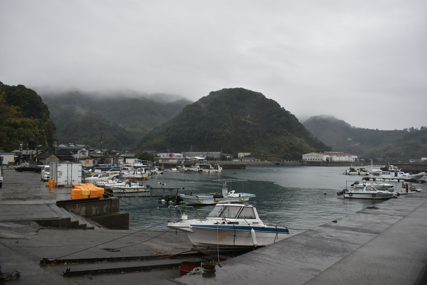 DSC_0789_1