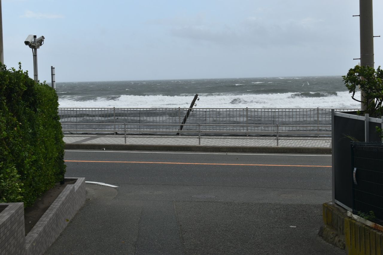 DSC_0538_6