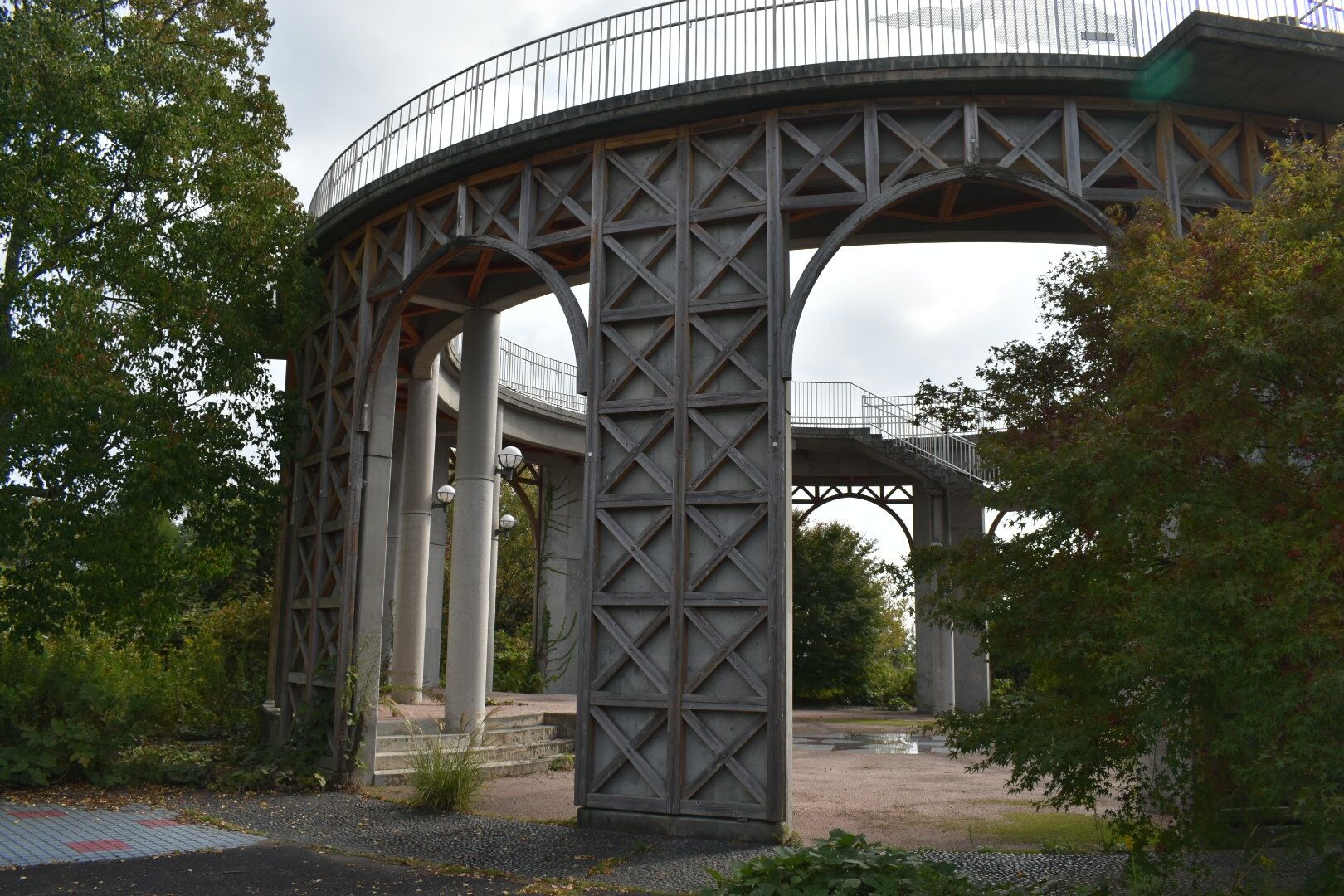 DSC_0249_6