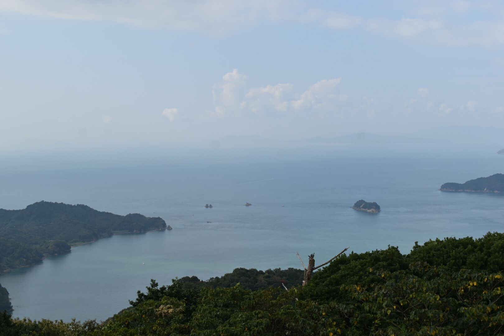 DSC_0252_7