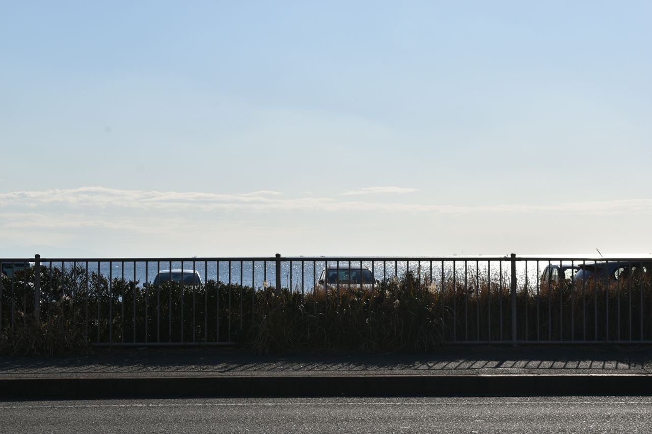 DSC_1083