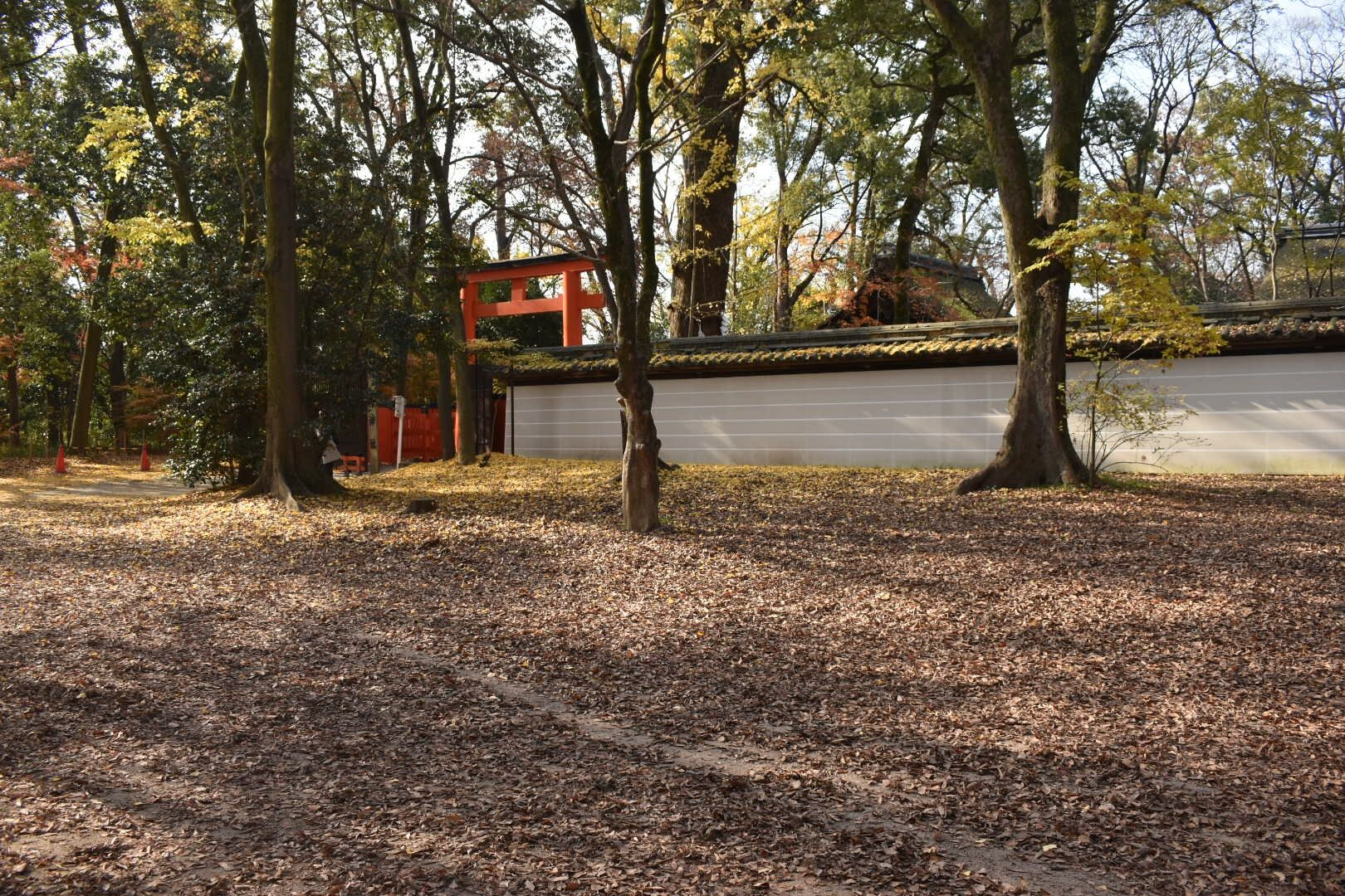 DSC_0292_6