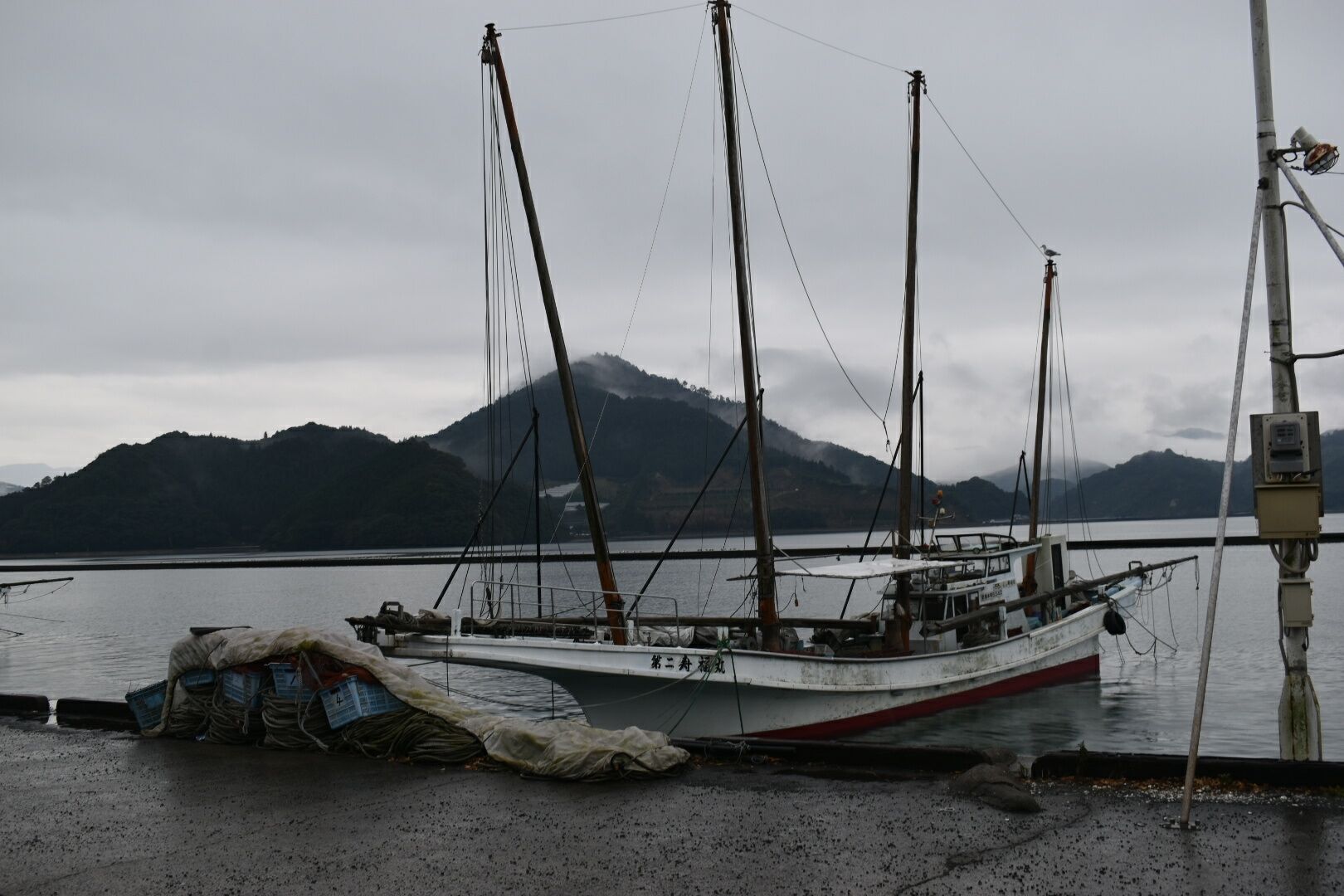 DSC_0810_1