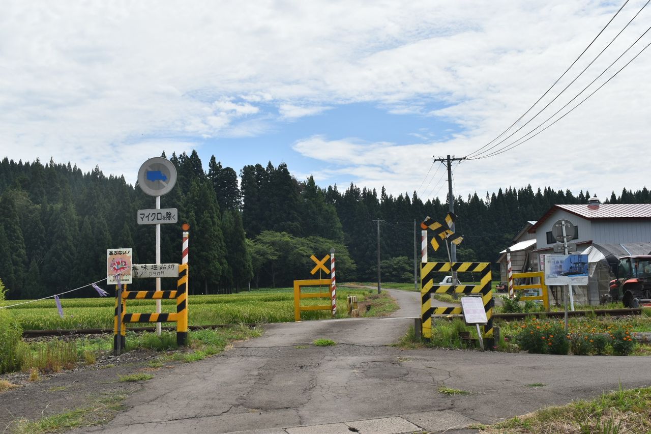 DSC_0384_4